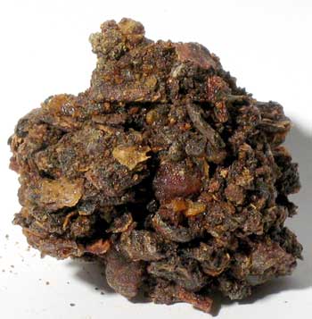 (image for) 1 Lb Myrrh